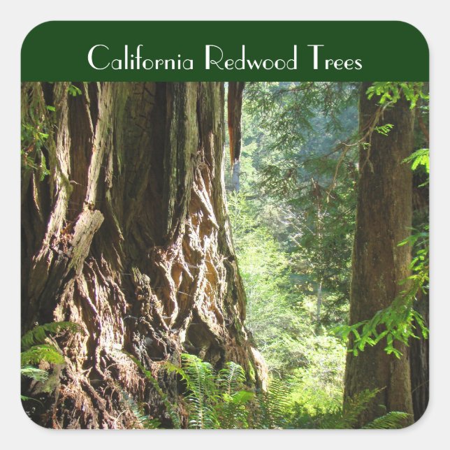 Adesivos de árvores de Redwood da Califórnia (Frente)