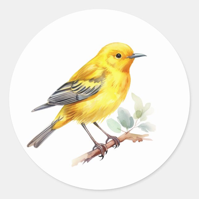 Adesivos de aves amarelo-Warbler (Frente)