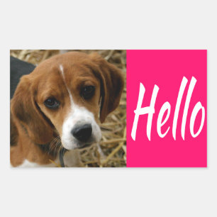 Adesivos de Boas Vindas Cachorrinho Beagle Fofo