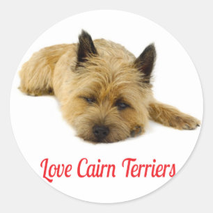 Adesivos de Boas-Vindas do Cachorro Cairn Terrier