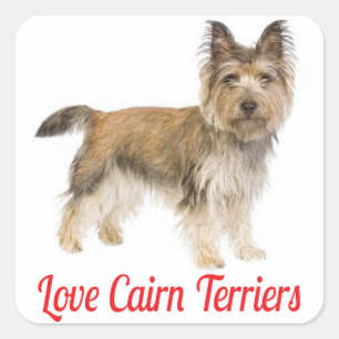 Adesivos de Boas-Vindas do Cachorro Cairn Terrier