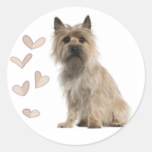 Adesivos de Boas-Vindas do Cachorro Cairn Terrier