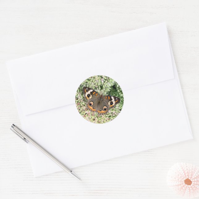 Adesivos de Borboleta (Envelope)