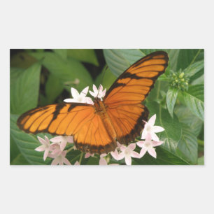 Adesivos de Borboleta de Julia Laranja