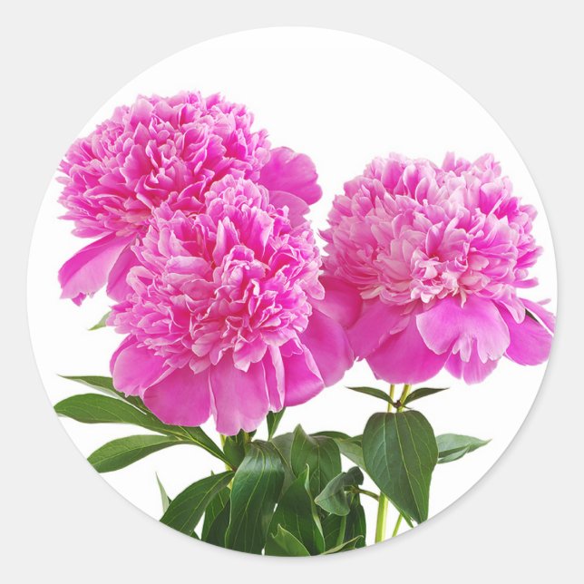 Adesivos de Buquê de Flores Peônia Rosa (Frente)