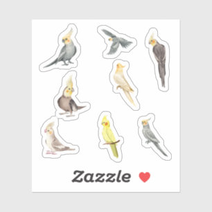 Adesivos de Cacatua