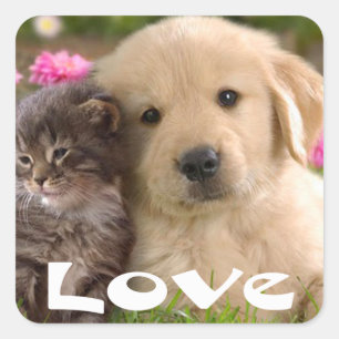 Adesivos de Cachorrinho e Gatinho do Golden Retrie