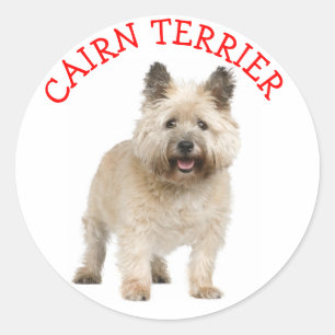 Adesivos de Cachorro de Estimação Cairn Terrier Am