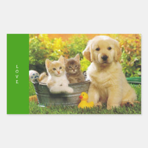Adesivos de Cachorro Filhote Golden Retriever Amor