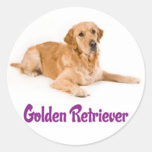 Adesivos de Cachorro Filhote Golden Retriever Amor