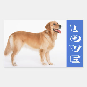 Adesivos de Cachorro Filhote Golden Retriever Amor