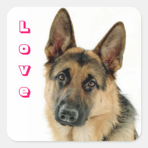 Adesivos de Cachorro Filhote Pastor Alemão Amor