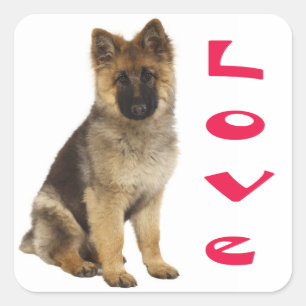 Adesivos de Cachorro Filhote Pastor Alemão Amor