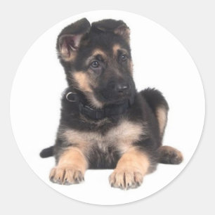 Adesivos de Cachorro Filhote Pastor Alemão Amor