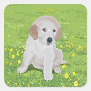 Adesivos de Cachorro Filhote Retriever Dourado Amo
