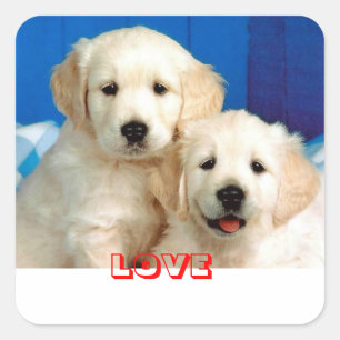 Adesivos de Cachorro Filhote Retriever Golden de A