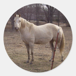 Adesivos de cavalos brancos