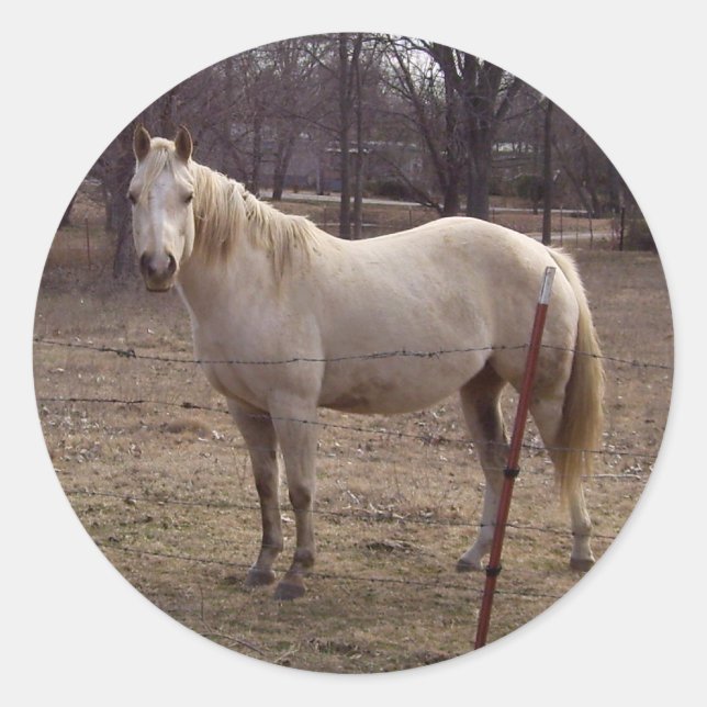 Adesivos de cavalos brancos (Frente)