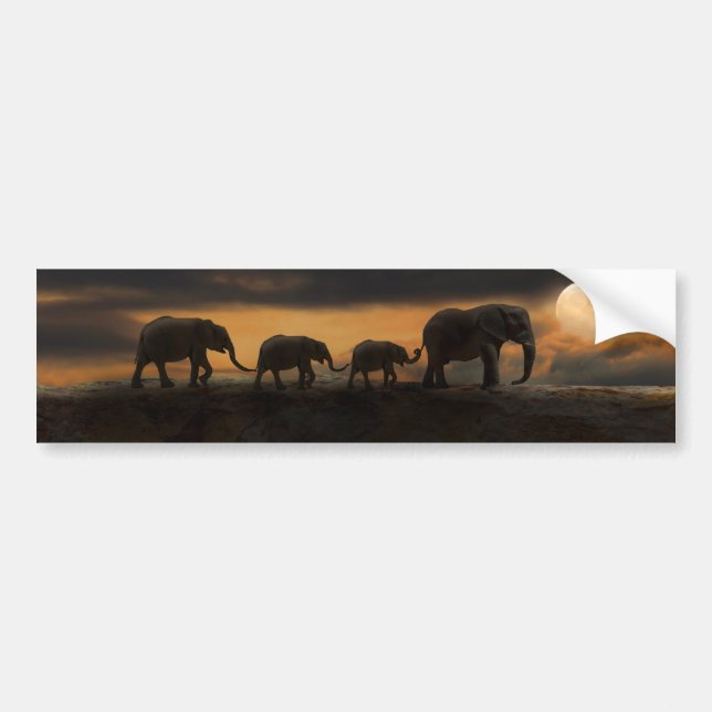 ADESIVOS DE CHOQUE DE ELEFANTE ELEFANTES (Frente)