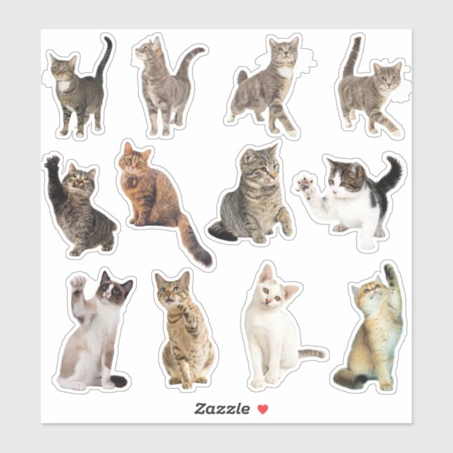 Adesivos de Coleção de Gatos (Folha)