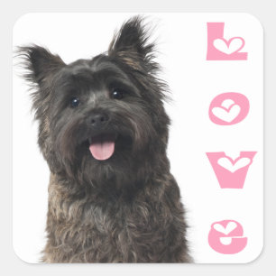 Adesivos de Coração Rosa de Cachorro Filhote Cairn
