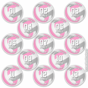 adesivos de equipe de vôlei cinza rosa 13 atletas