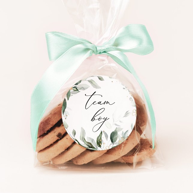 Adesivos de equipe menino da Greenery (Criador carregado)