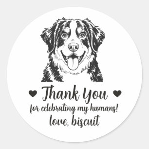 Adesivos de Favor de Casamento Bernese Mountain Do