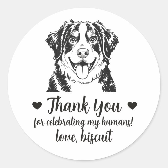 Adesivos de Favor de Casamento Bernese Mountain Do (Frente)