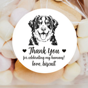 Adesivos de Favor de Casamento Bernese Mountain Do