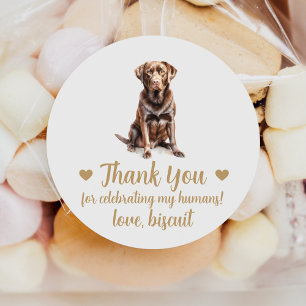 Adesivos de Favor de Casamento de Cachorro Labrado