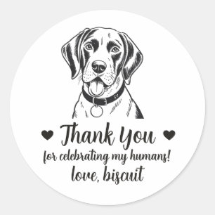 Adesivos de Favor de Casamento de Cachorro Pointer