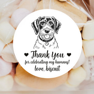 Adesivos de Favor de Casamento de Cachorro Pointer