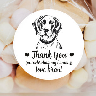 Adesivos de Favor de Casamento de Cachorro Pointer