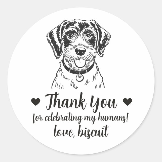 Adesivos de Favor de Casamento de Cachorro Pointer (Frente)