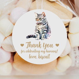 Adesivos de Favor de Casamento de Gato American Sh