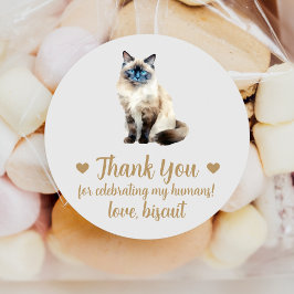 Adesivos de Favor de Casamento de Gato Birmanês