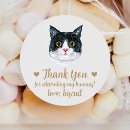 Adesivos de Favor de Casamento de Gato British Sho