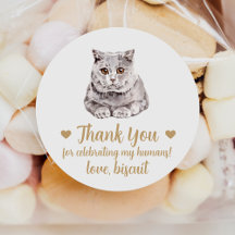 Adesivos de Favor de Casamento de Gato British Sho