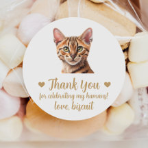 Adesivos de Favor de Casamento de Gato Tabby Perso