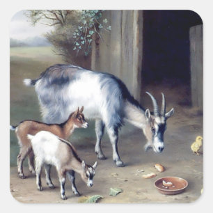 Adesivos de fazenda de cabras e galinhas
