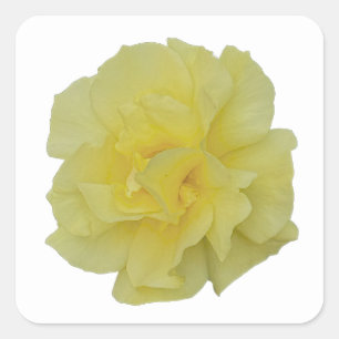 Adesivos de Flor Amarela
