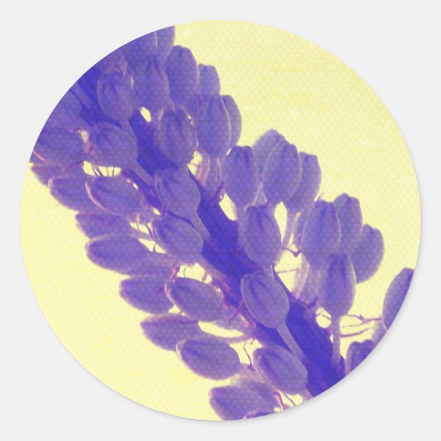 Adesivos de Flor de Verão Roxa (Frente)
