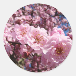 Adesivos de Flores de Árvore Rosa na Primavera