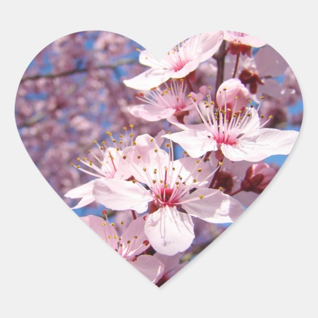Adesivos de flores de árvore rosa na primavera sel (Frente)