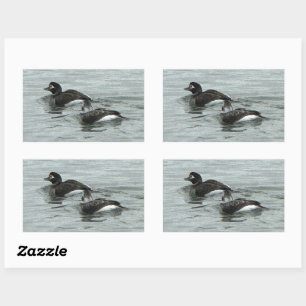 Adesivos de Foto de Patos no Oceano