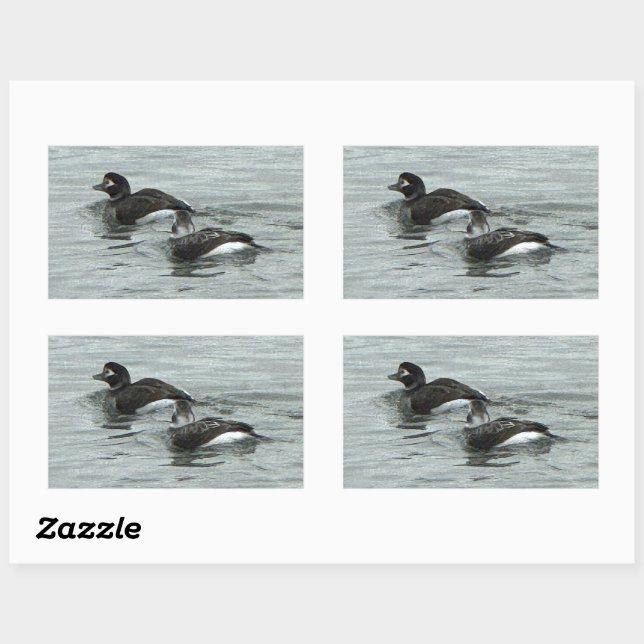 Adesivos de Foto de Patos no Oceano (Folha)