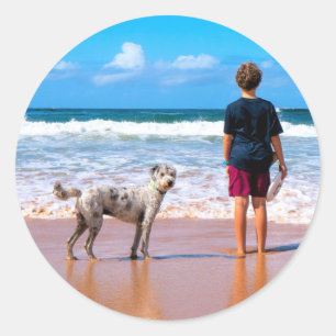 Adesivos de Fotos de Animais de Estimação Personal