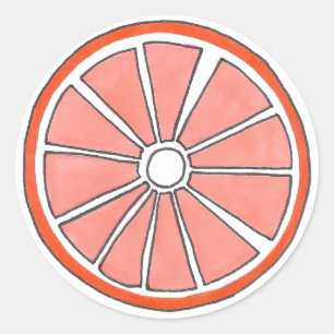 Adesivos de Fruta de Citros Laranja