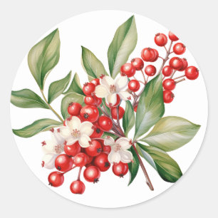 Adesivos de Frutas do Inverno